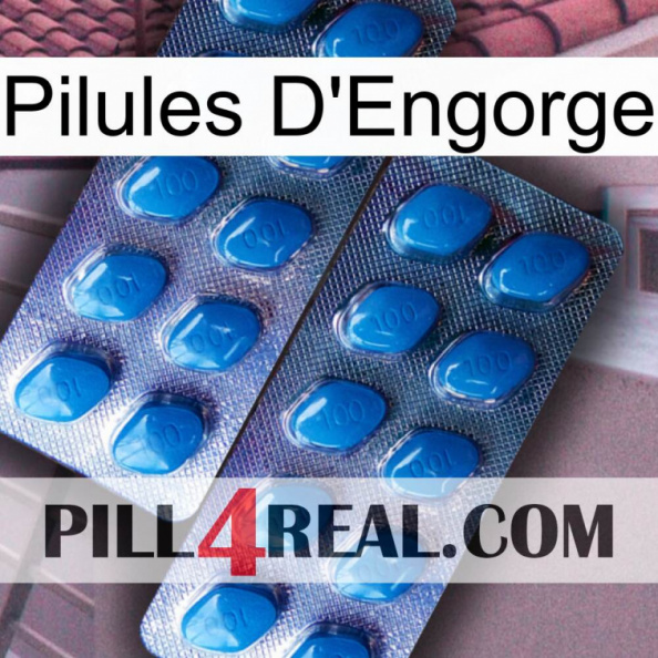 Engorge Pills viagra2